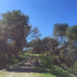 Photo by tester1