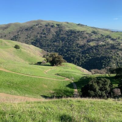 Alum Rock Park: North and South Rims 9.9 Miles